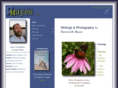 darwinhayes.com