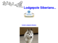 lodgepolesiberians.com