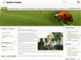 noelinehaylett.org