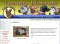 trendyhounds.com