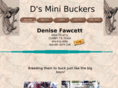 dminibuckers.com