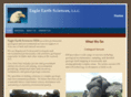eagleearthsciences.com