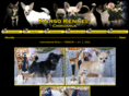 marso-chihuahua.com