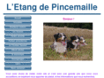 pincemaille.com