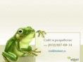 wideart.ru