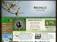 broncofcu.com