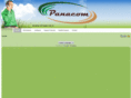 panacom-dt.com