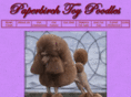 paperbirchtoypoodles.com