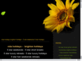 vidaholidays.com