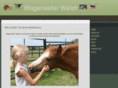 wagensellerwelsh.com