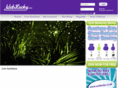 weblucky.com
