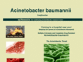 acinetobacterbaumannii.org