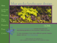 bluegeckolandscape.com