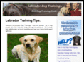 labradordogtrainings.com