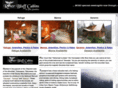 littleriverbluffcabins.com