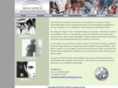 newworldconsultinggroup.com