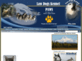 operationpaws.com