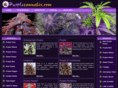 purplecannabis.com