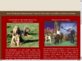 bigdogsandlittlehorses.com