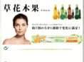 blue-plum.com
