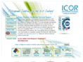 icorinternational.com