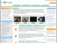 businessidea.net
