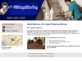 ezcarpetcleaningla.com