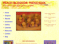 peachblossompreschool.com