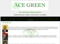 acegreenllc.com
