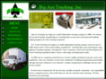 bigacetrucking.com