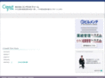 consult-firm.com