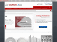 ceilingsusa.com