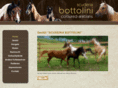 coloured-arabians.net