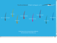 fachverband-elektrologie.de