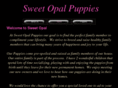 sweetopalpuppies.com