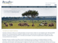 boundlesssafaris.com