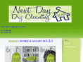 nextdaydrycleaning.com