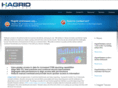 hagridsolutions.com
