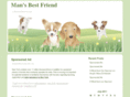 bestivinur.com