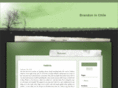 brandonmaurer.com