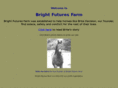 brightfuturesfarm.org
