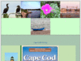 capecoddvd.org