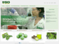 sgbiofuels.com