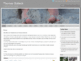 Thomas-Gutteck.de