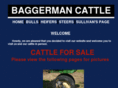 baggermancattle.com