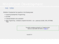 mindstormdevelopment.com