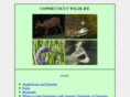 wildlifeofct.com