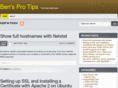bensprotips.com