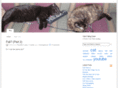 catsfallingdown.com