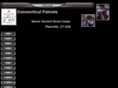 ctpatriots.org